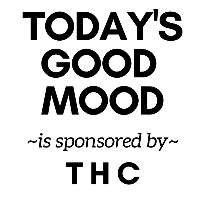 Today's Good Mood is Sponsored by THC Hoodie