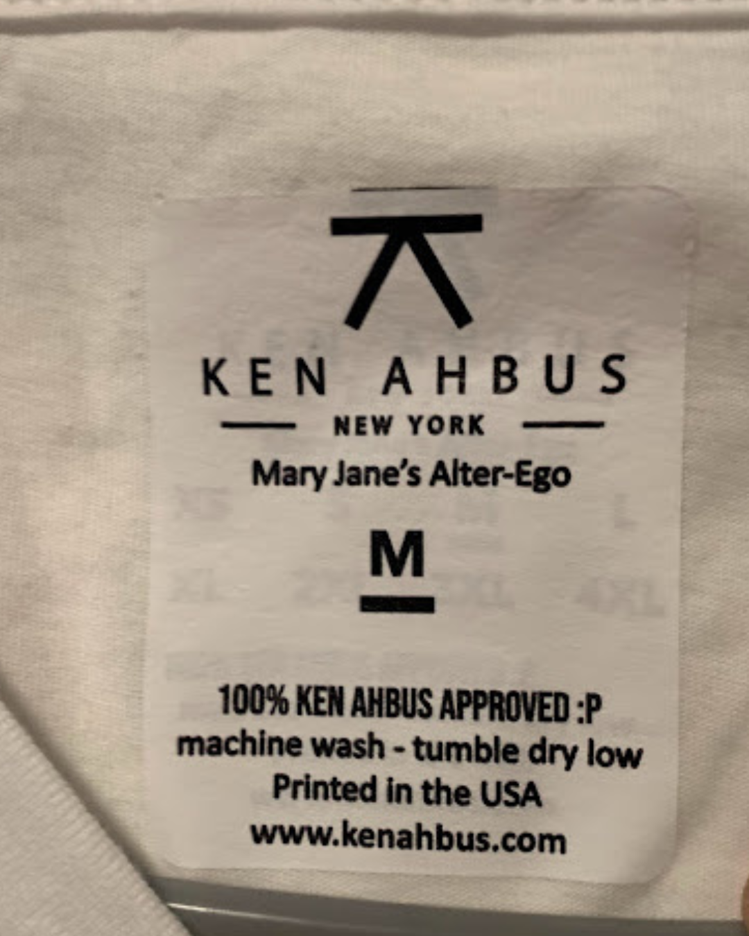 I'm A Blunt Person V-Neck T-Shirt -- Ken Ahbus T-Shirt